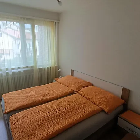 Casa Franceschini 公寓 洛迦诺